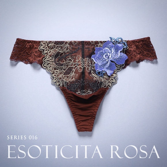 HIMICO 華やかな異国情緒漂う Esoticita Rosa Tバック パンツ レース ビキニ メンズ M L 016series