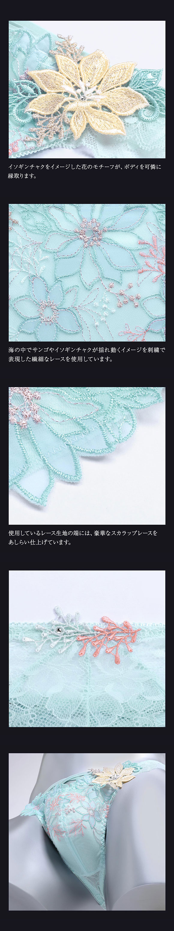 ヒミコ 039シリーズ Tバック パンツ バックレース タンガ メンズ M L HIMICO 大人ランジェリー 自分へのご褒美 下着