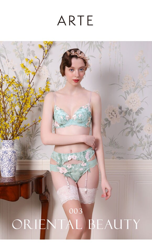 ARTE 003シリーズ ブラジャー 大きいサイズ アンダー80 B C D E F ランジェリー