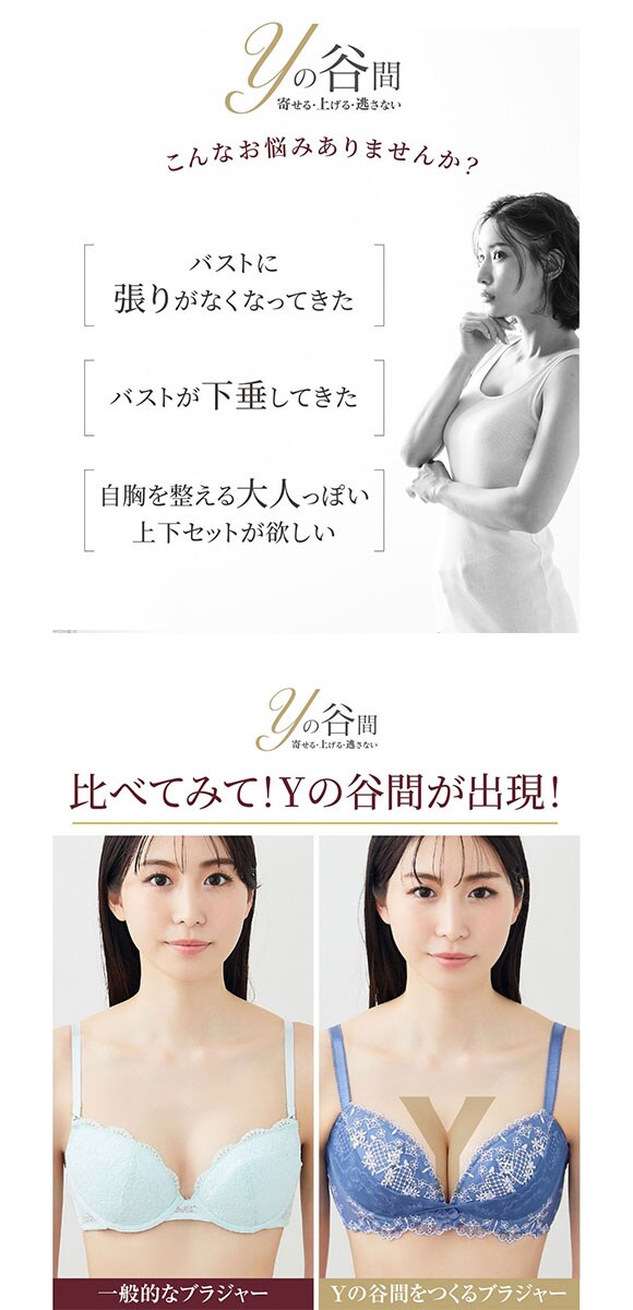 【ニッセンとトリンプ共同企画】Yの谷間をつくるブラジャーショーツセット BCD