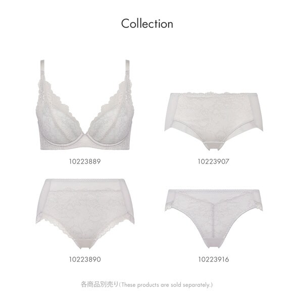 トリンプ TR632 天使のブラ スリムライン レギュラーショーツ スタンダード 3L 大きいサイズ Triumph