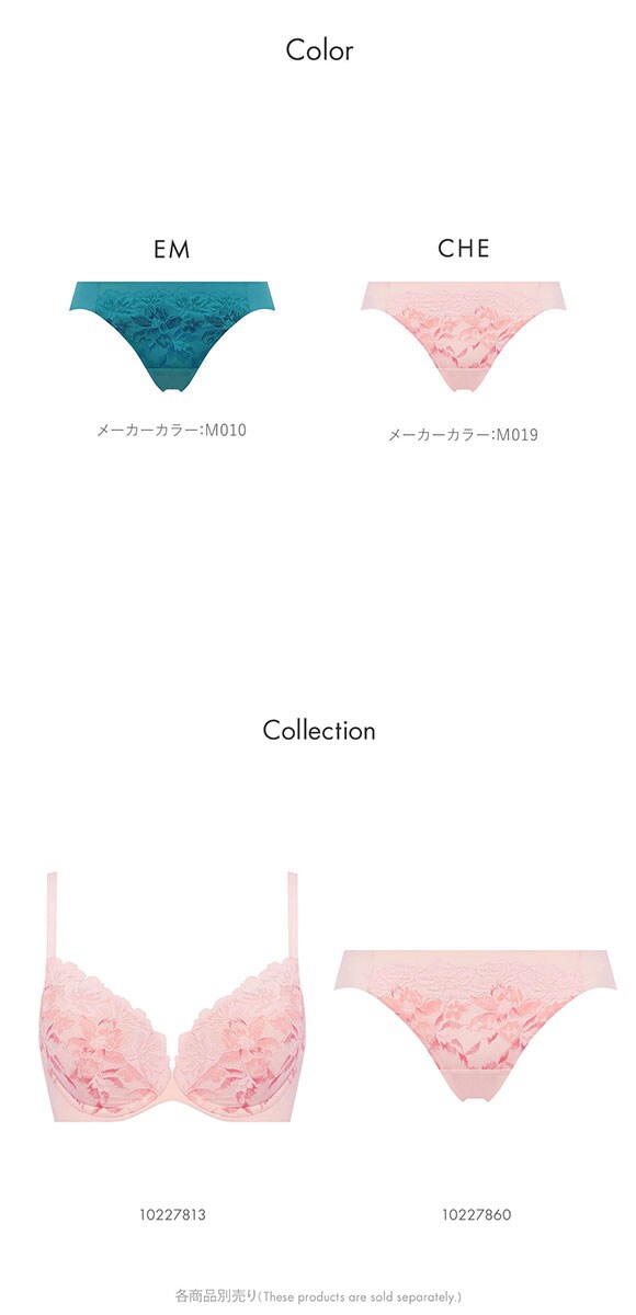 トリンプ TR648 秘めわざ レギュラーショーツ LL 大きいサイズ Triumph