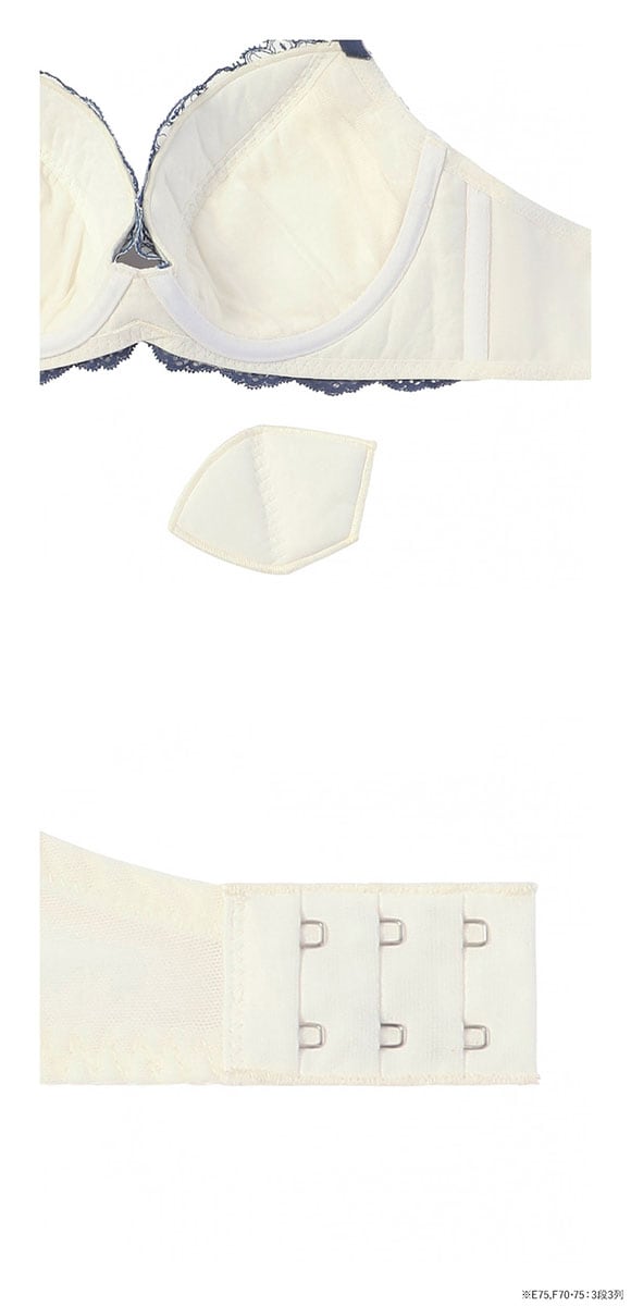 アモスタイル 脇高ブラ AMST1529 ボタニカルモザイク ブラセット ブラジャー ショーツ セット EF 大きいサイズ AMOSTYLE