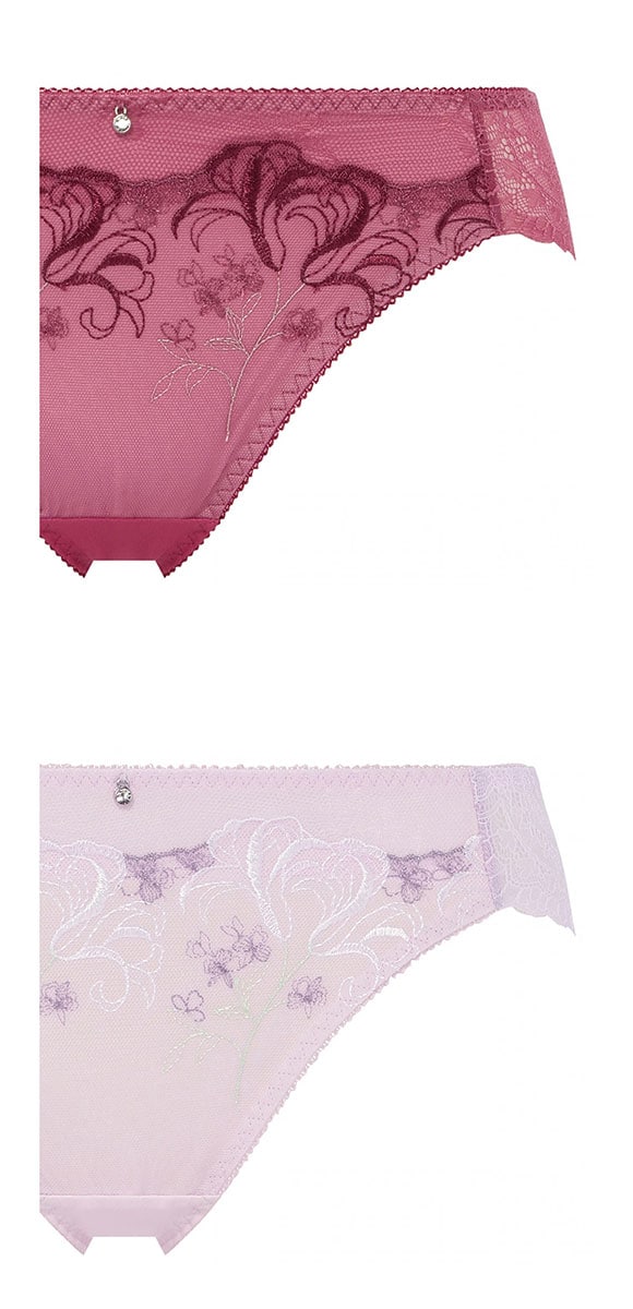 アモスタイル AMST1538 ウィンターリリー レギュラーショーツ AMOSTYLE