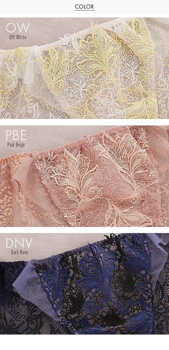 Arabesque アラベスク ショーツ スタンダード バックレース ML 単品 LA VIE A DEUX ラヴィアドゥ DOMESTIC UNDER