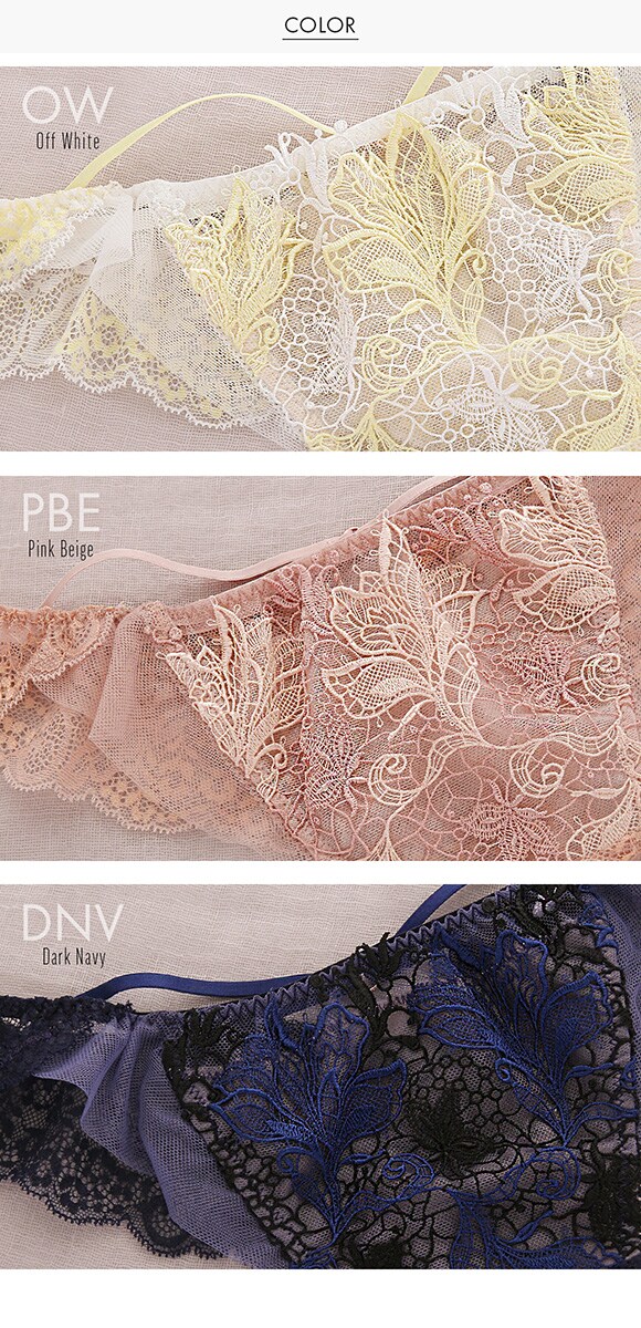 Arabesque アラベスク ショーツ Tバック バックレース M 単品 LA VIE A DEUX ラヴィアドゥ DOMESTIC UNDER