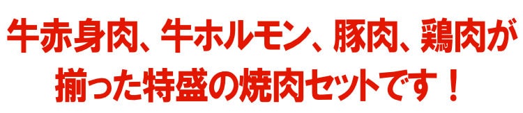 【情熱特撰】特盛ＢＢＱセット