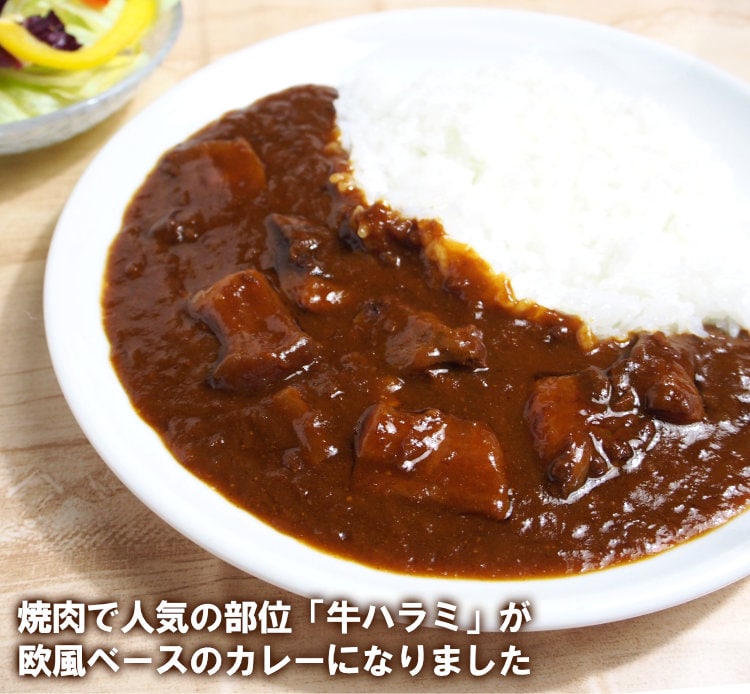 欧風牛ハラミカレー