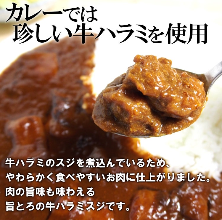 欧風牛ハラミカレー