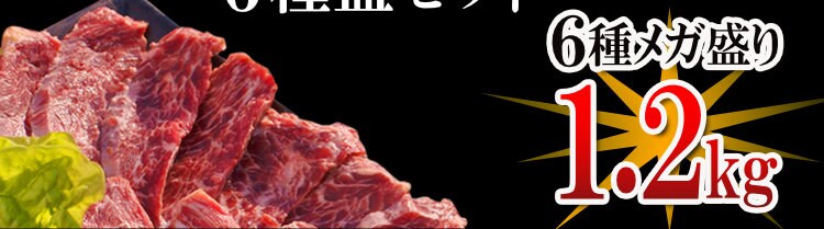 お手軽６種盛りセット