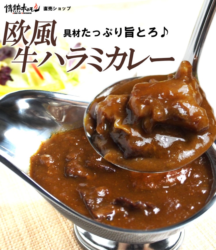 欧風牛ハラミカレー