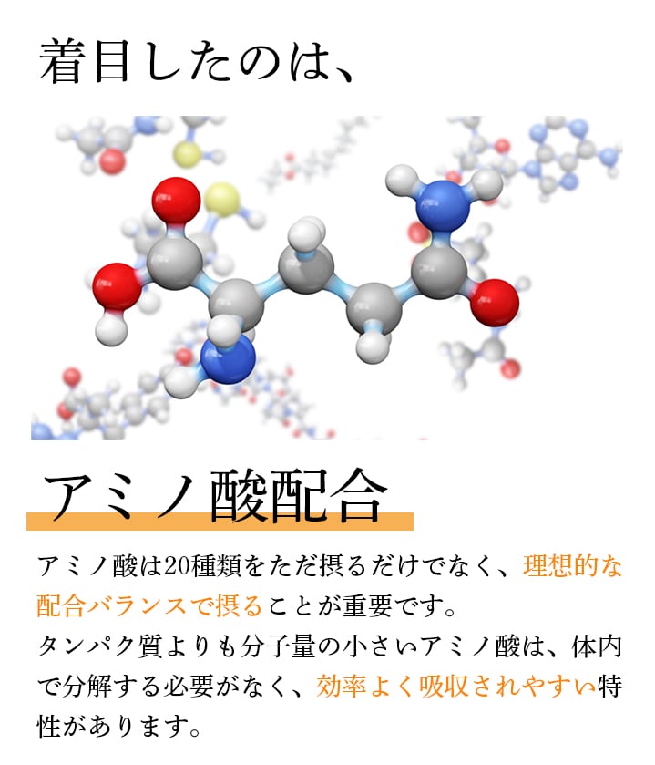 アミノ酸配合