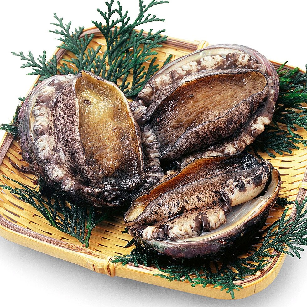 海の宝石と呼ばれる高級食材あわび