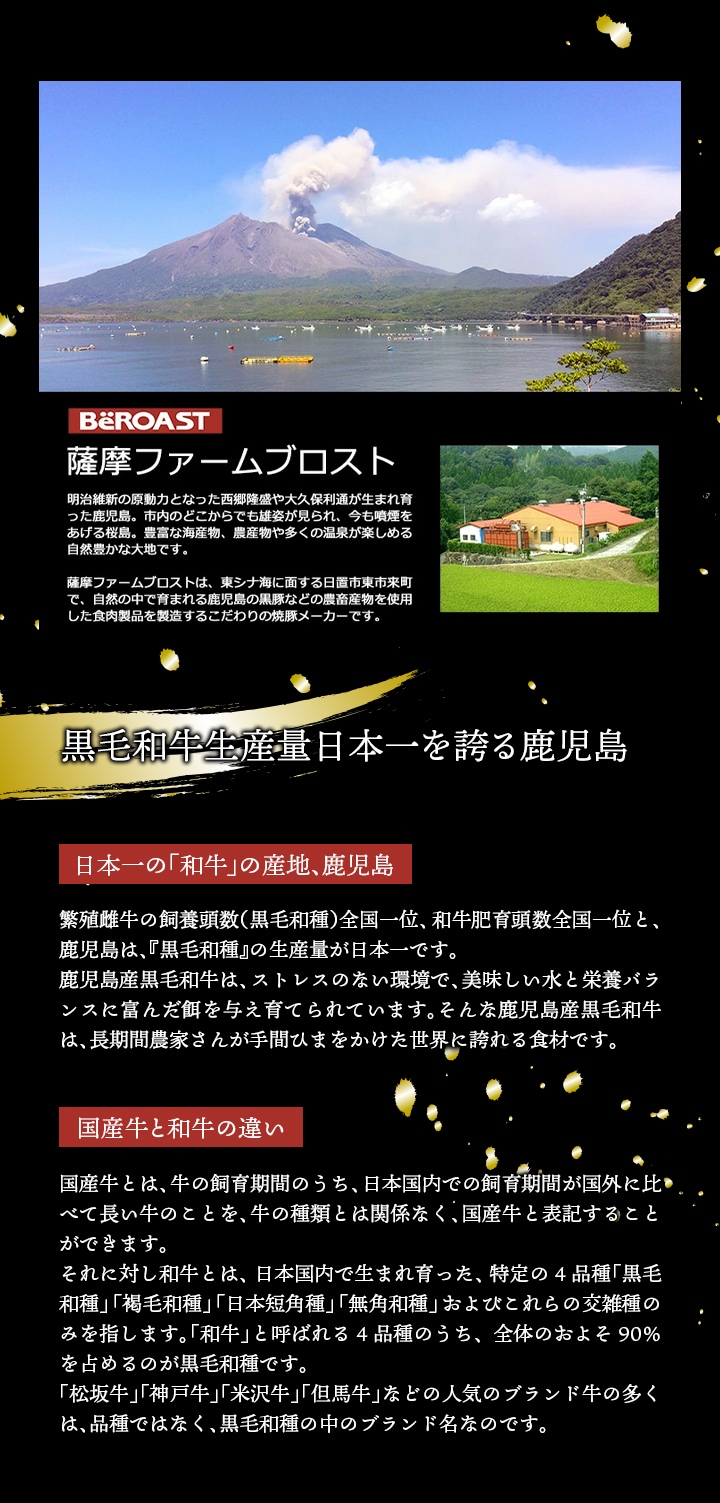 黒毛和牛王国、鹿児島からお届け！噛むほどに広がる濃厚な赤身の味わい。贅沢な時間を過ごすプレミアムなおつまみ。黒毛和牛モモ赤身ビーフジャーキー。薩摩ファームブロストは、自然環境に恵まれた鹿児島、日置郡の自社工場で厳選した良質の鹿児島産生豚モモ肉を使用した焼豚などを主に製造しています。その洗練された技術により、肉のプロである肉師が厳選した黒毛和牛が、味わい深いジャーキーへと進化しました。