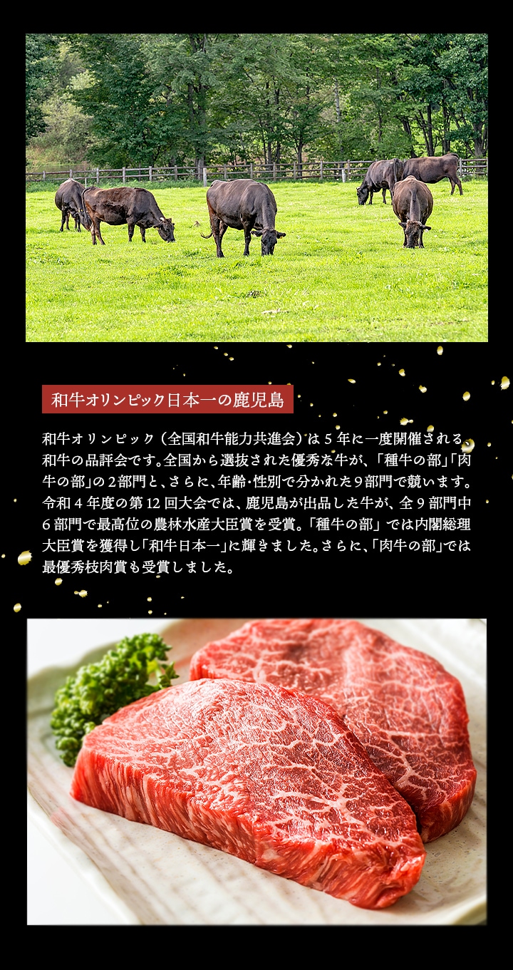 薩摩ファームブロストの黒毛和牛モモ赤身ビーフジャーキー30g食品グルメお取り寄せ常温・冷蔵便