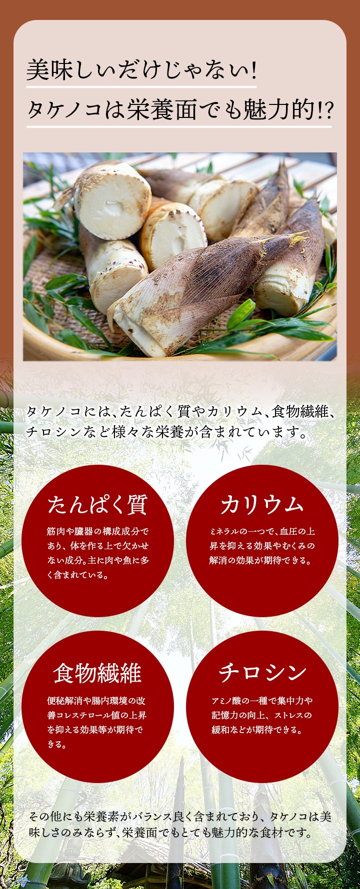 タケノコは美味しいだけじゃない！栄養面でもとても魅力的なんです。タケノコには、たんぱく質、カリウム、食物繊維、チロシンなどの栄養素がバランスよく含まれています。美味しさのみならず、栄養価も高い食材なんです！