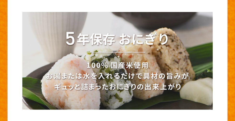 内容品詳細-おにぎり1