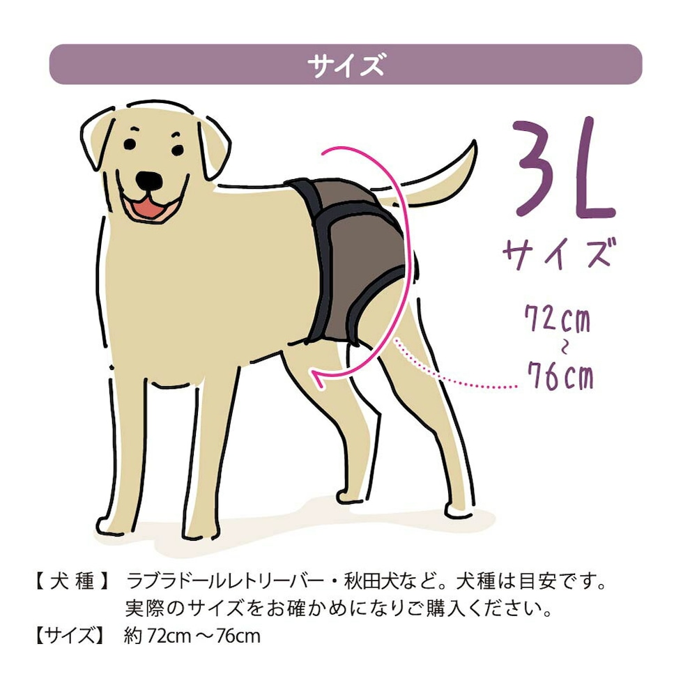 dショッピング |犬用 マナーパンツ オムツカバー ドッグウェア ウエア