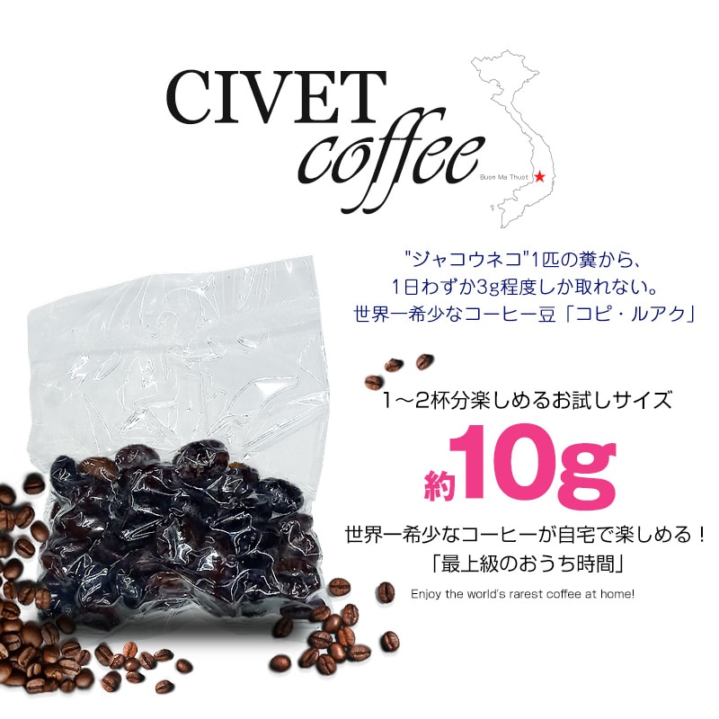 ジャコウネココーヒー シベットコーヒー ブレンドコーヒー アラビカ ロブスタ コーヒー 粉 珈琲 希少 ベトナム産 深煎り 中煎り 浅煎り レギュラーコーヒー 焙煎 【coffee-6】