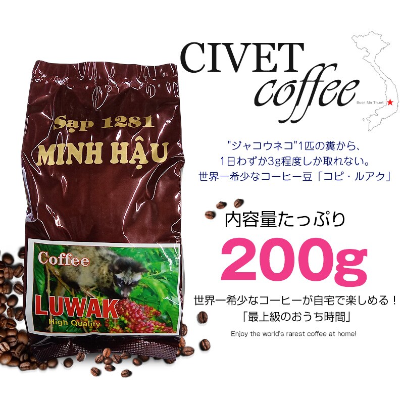 ジャコウネココーヒー シベットコーヒー ブレンドコーヒー アラビカ ロブスタ コーヒー 粉 珈琲 希少 ベトナム産 深煎り 中煎り 浅煎り レギュラーコーヒー 焙煎 【coffee-6】