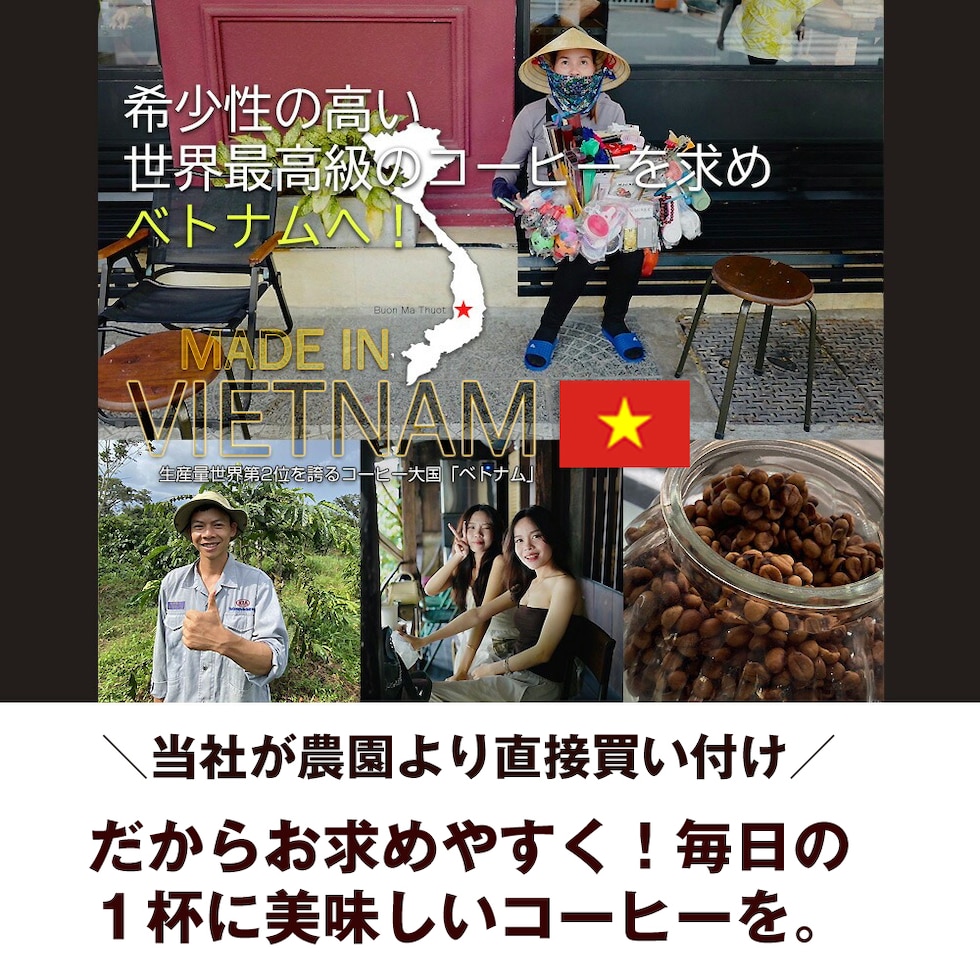コーヒー ベトナムコーヒー レギュラーコーヒー アラビカコーヒー ダラットコーヒー 250g ベトナムコーヒー ブレンドコーヒー アラビカ種 コーヒー 粉 珈琲  ベトナム産【coffee-12】