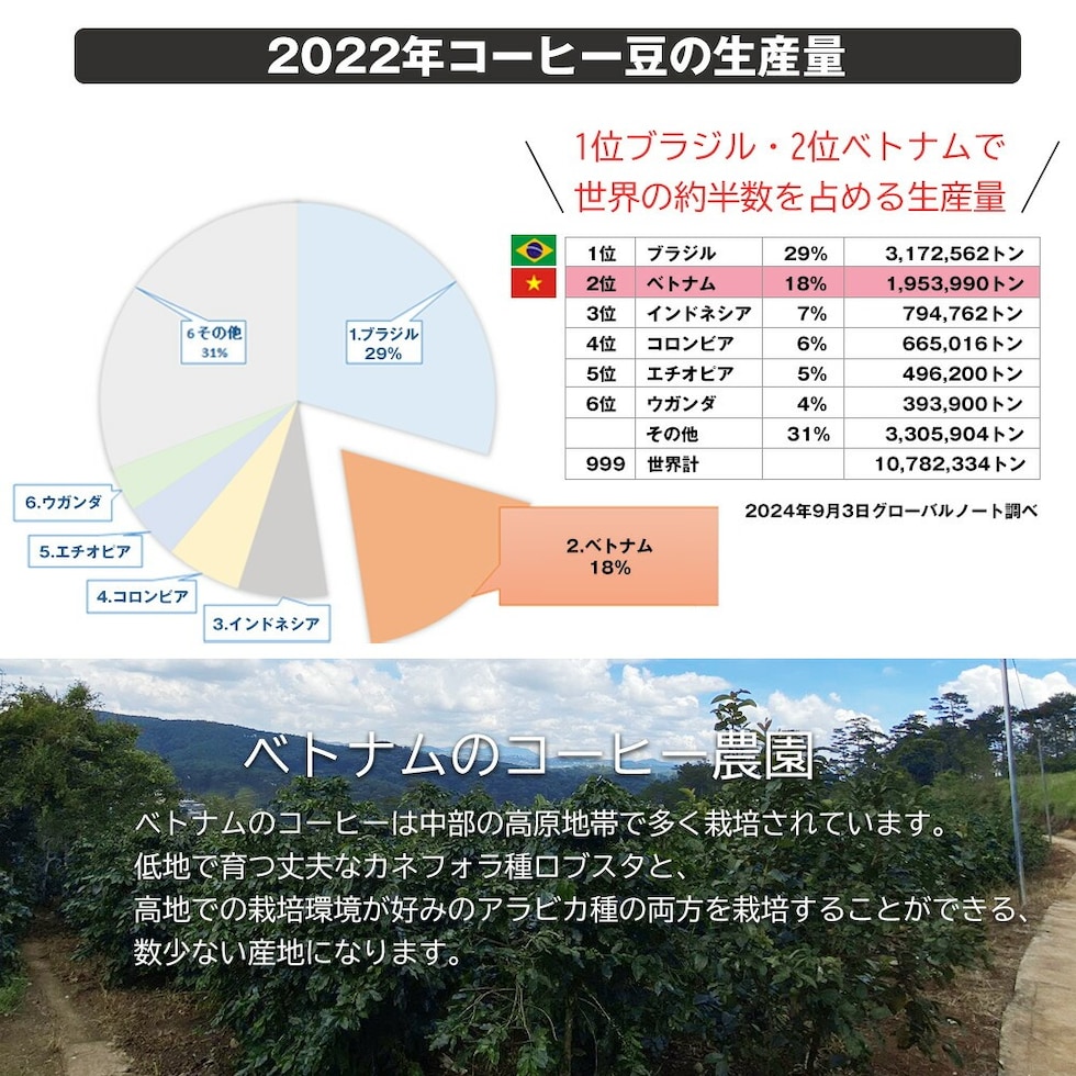 コーヒー ベトナムコーヒー レギュラーコーヒー アラビカコーヒー ダラットコーヒー 250g ベトナムコーヒー ブレンドコーヒー アラビカ種 コーヒー 粉 珈琲  ベトナム産【coffee-12】