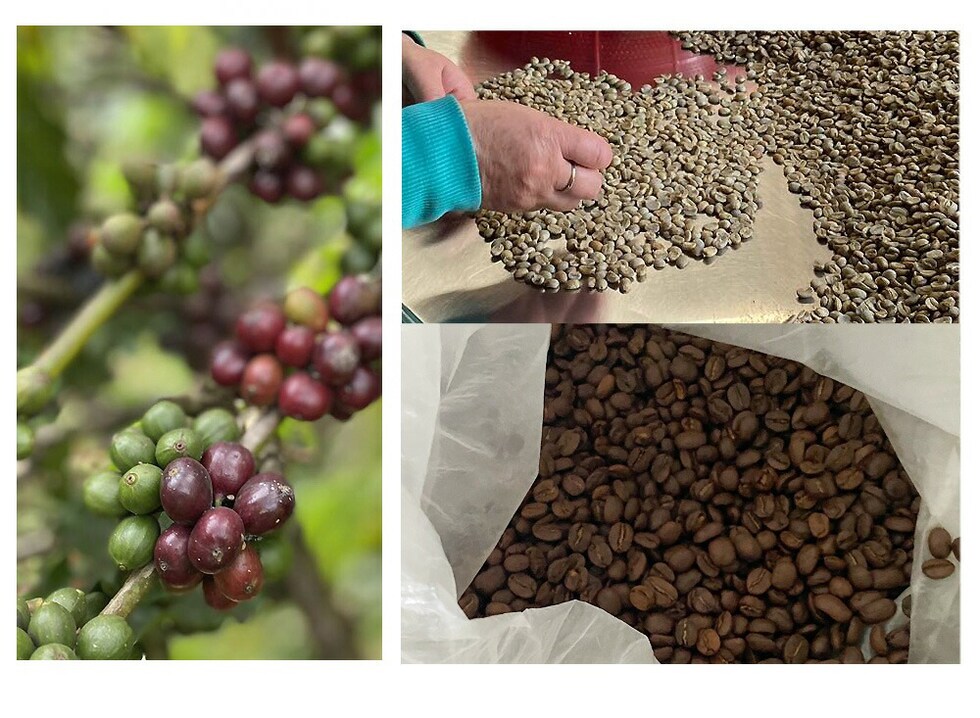 コーヒー ベトナムコーヒー レギュラーコーヒー アラビカコーヒー ダラットコーヒー 250g ベトナムコーヒー ブレンドコーヒー アラビカ種 コーヒー 粉 珈琲  ベトナム産【coffee-12】