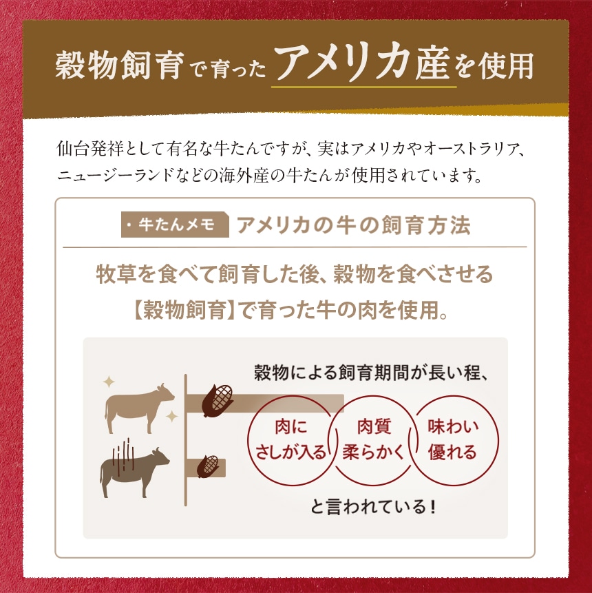 牛たんシチュー