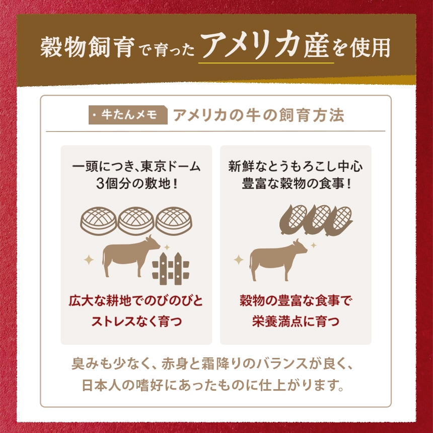 牛たんシチュー