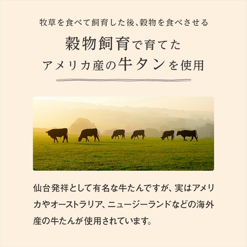 たん先ブロック味なし_04