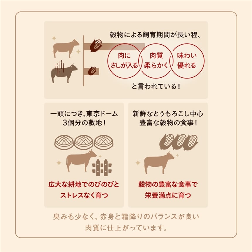 たん先ブロック味なし_05