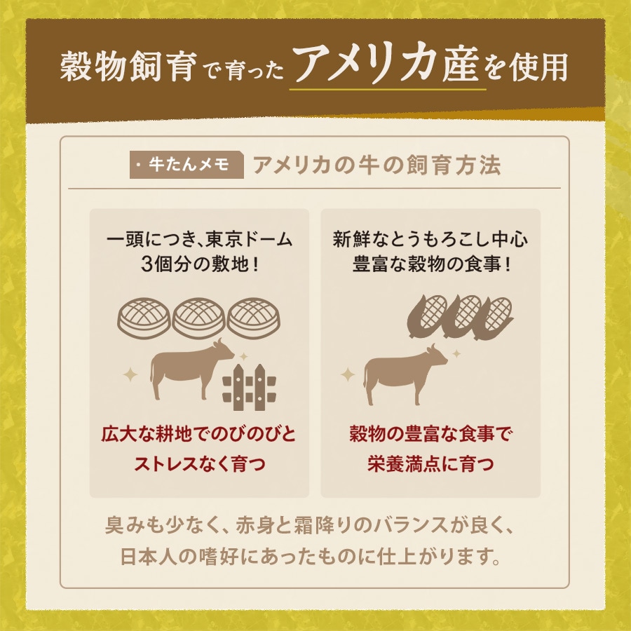 たん中500g_03
