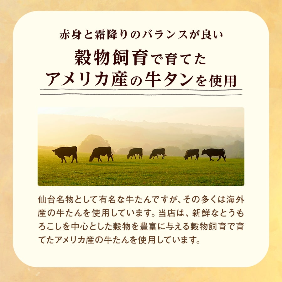 たん先ブロック味なし_04