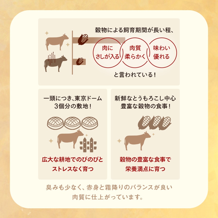 たん先ブロック味なし_05