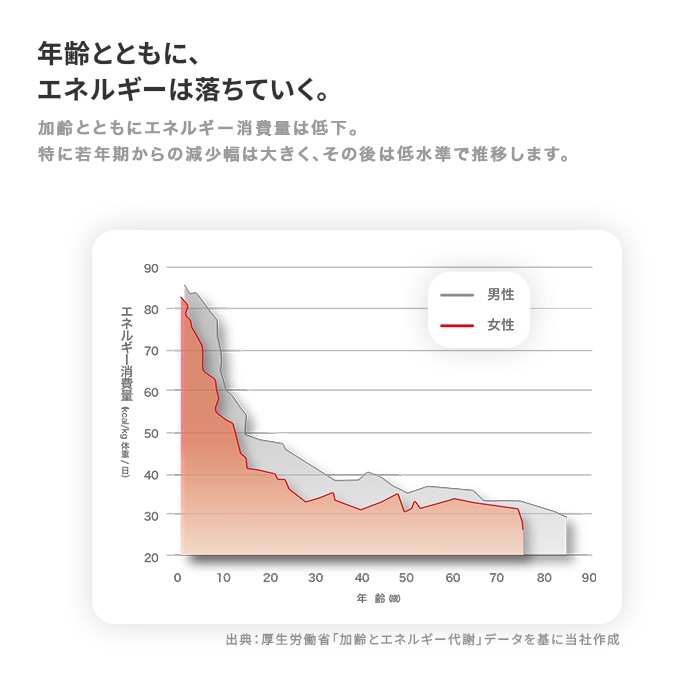 加齢とエネルギー代謝