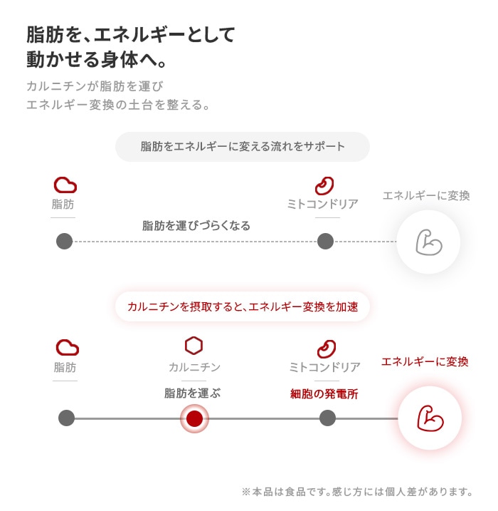 動かせる体へ