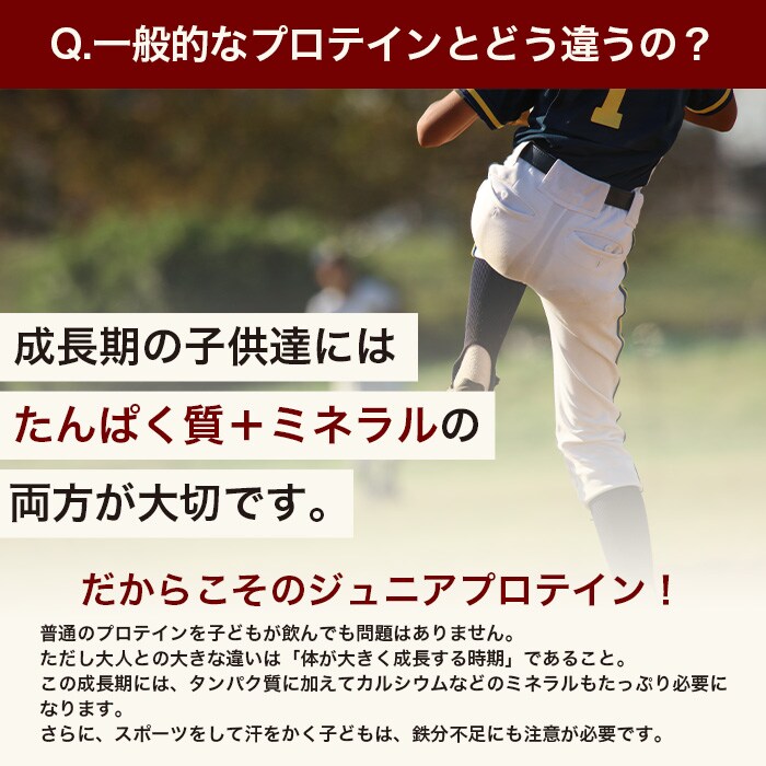 成分表