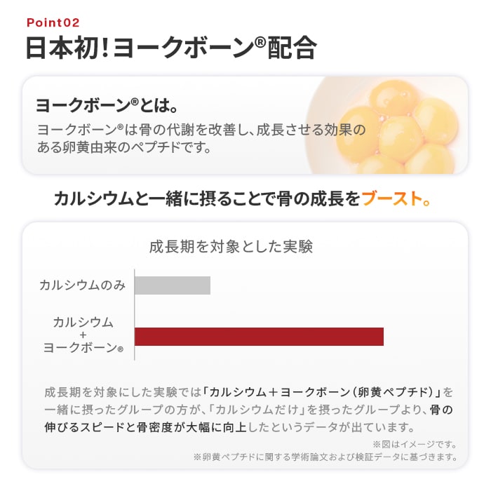 ヨークボーン