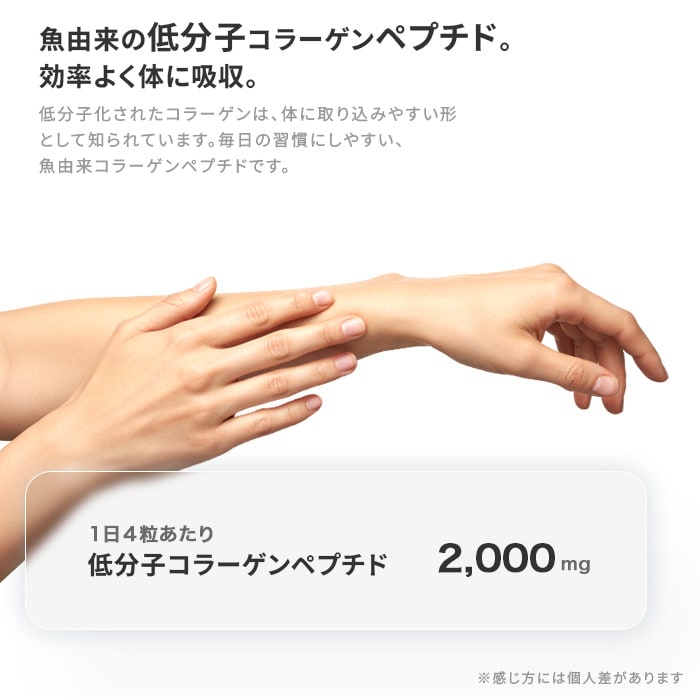 お召し上がり方