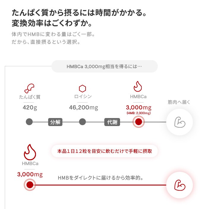 栄養機能食品