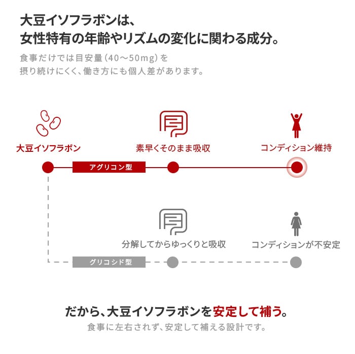 加齢とエネルギー代謝