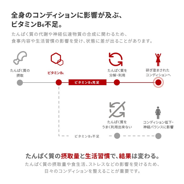 動かせる体へ