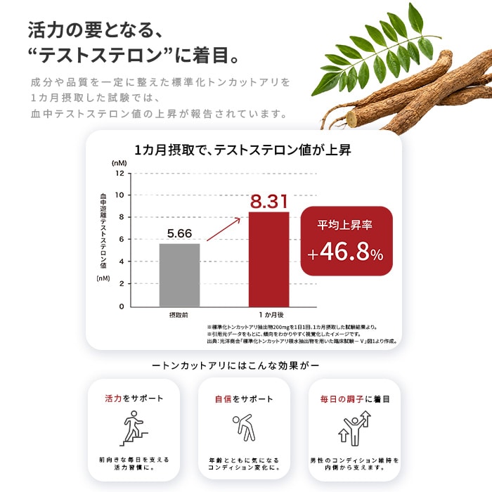 手軽に持ち運べる