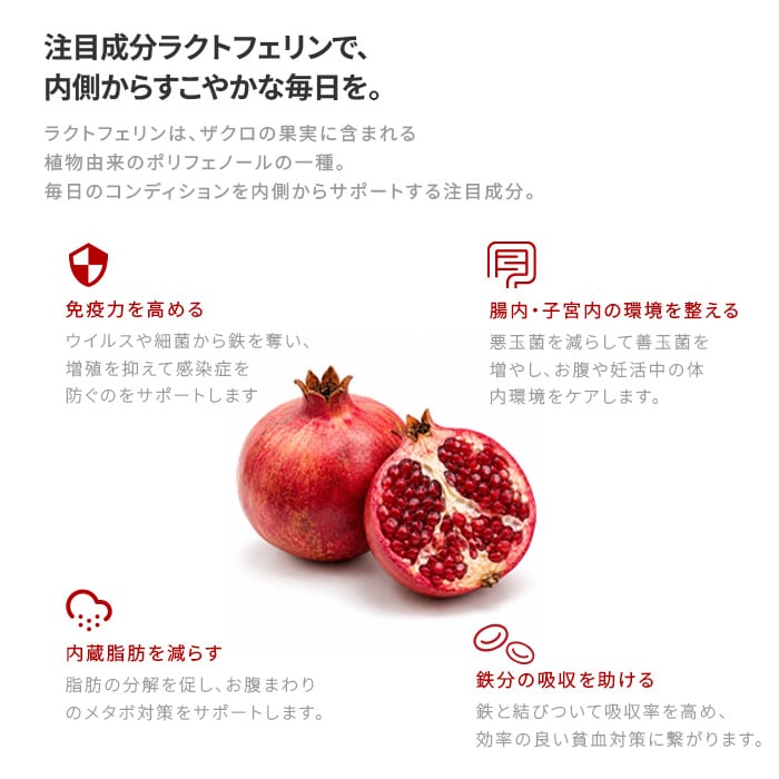 動かせる体へ