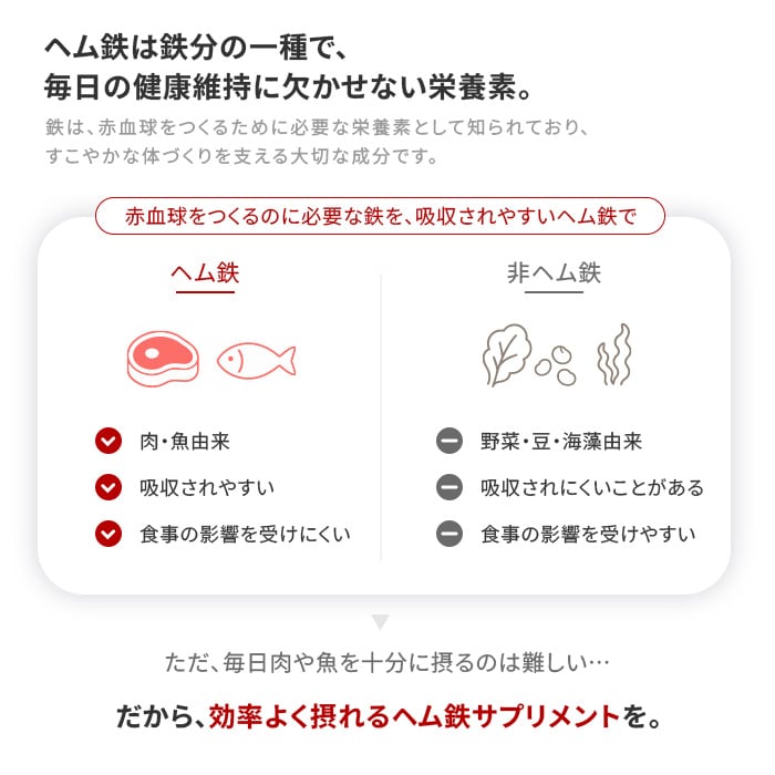 動かせる体へ