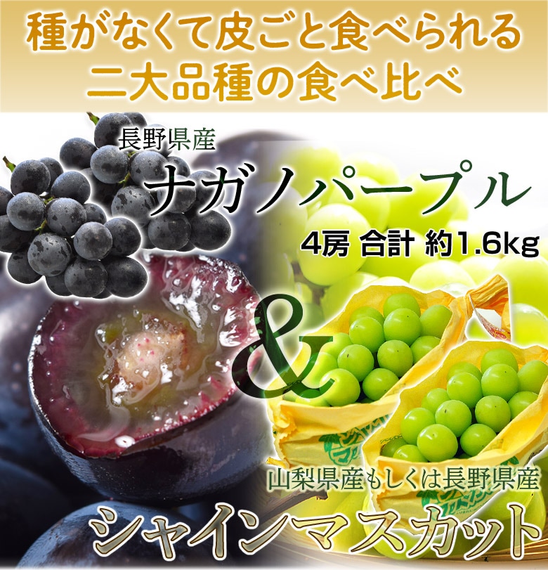 4房入り