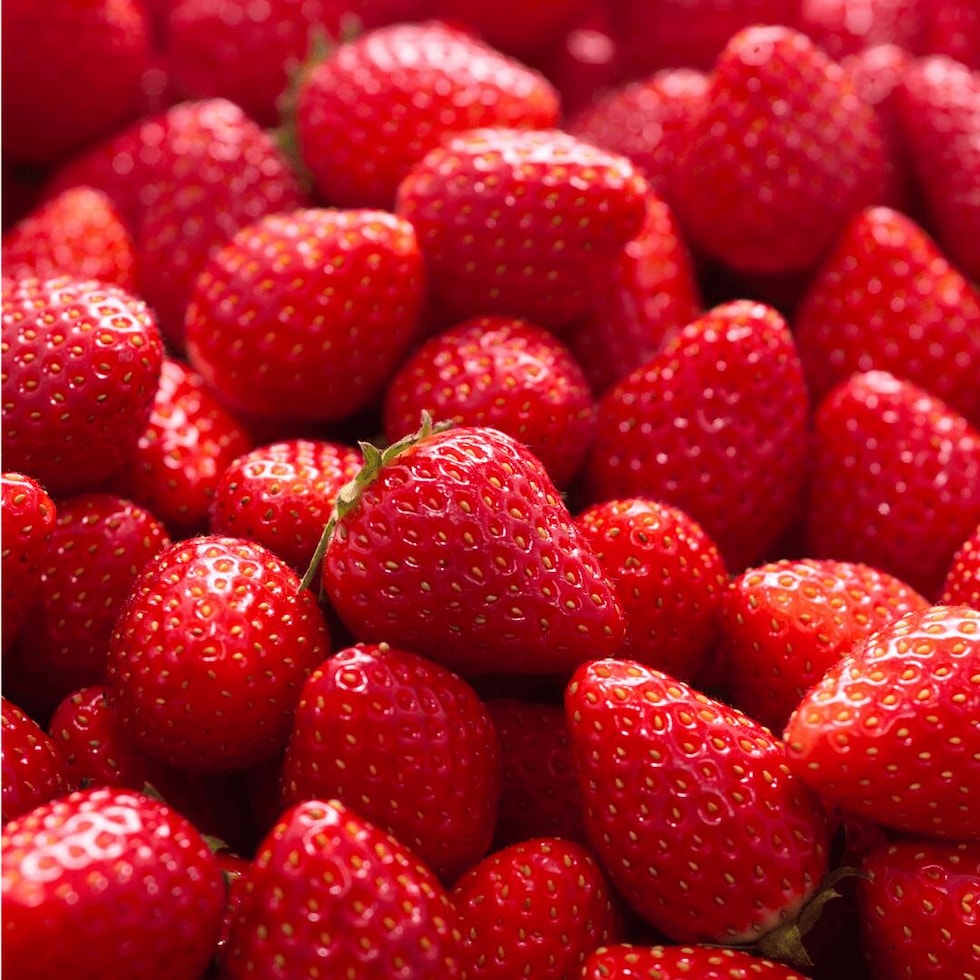 いちごイメージ