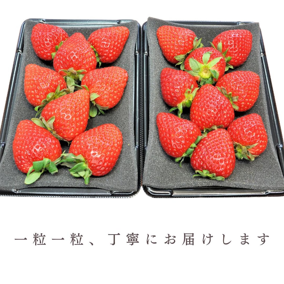 丁寧にお届けします