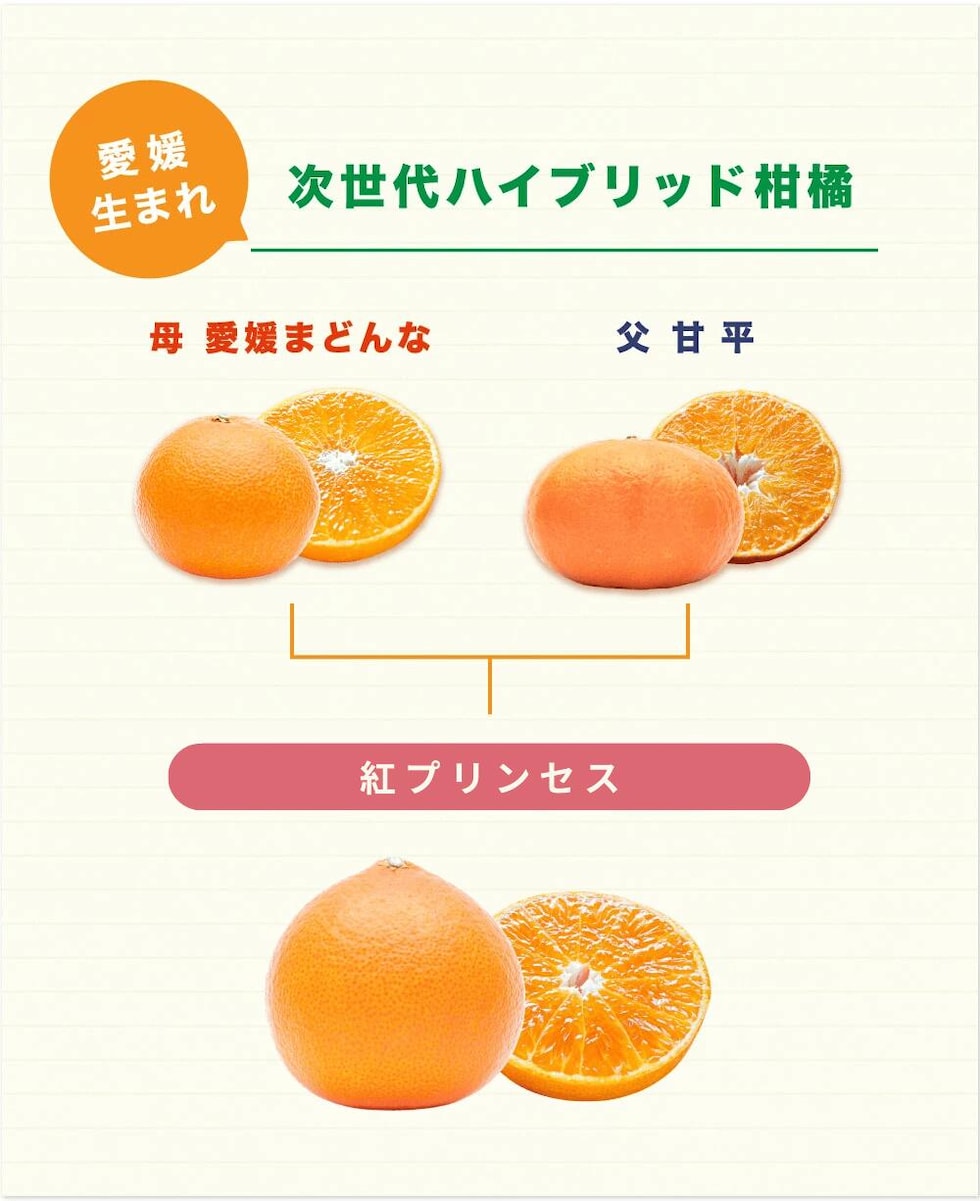 愛媛期待の新品種