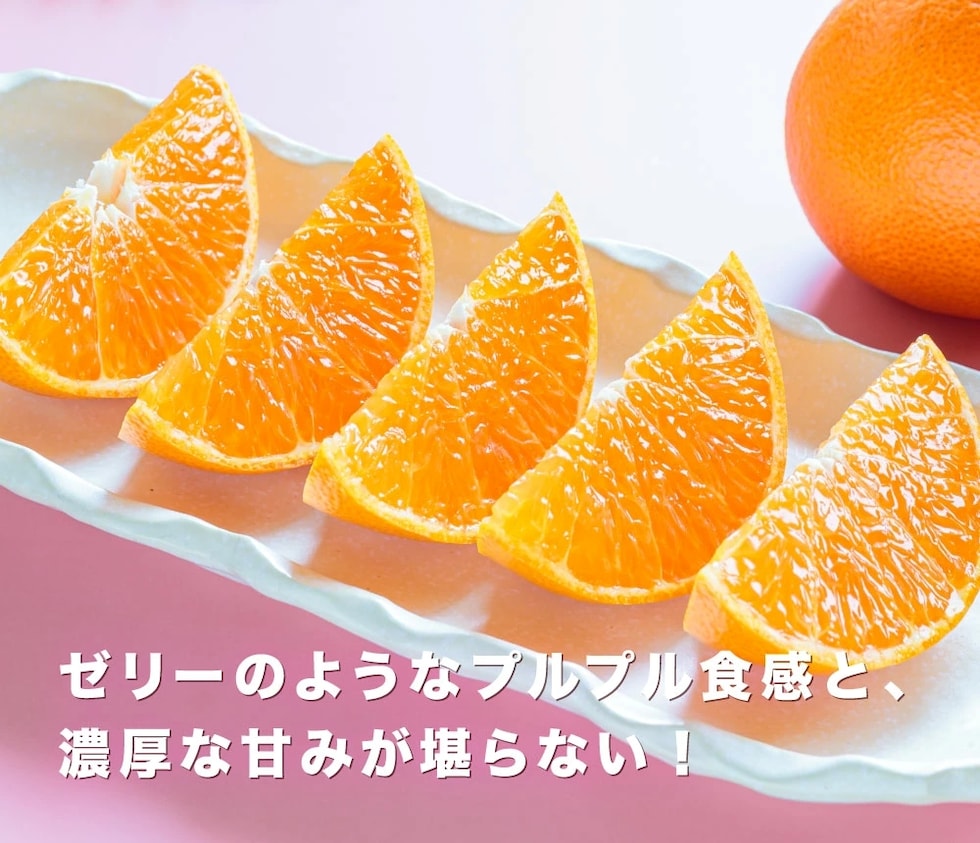 次世代ハイブリッド柑橘